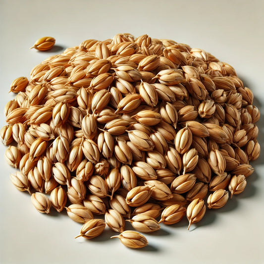 Maris Otter Malt